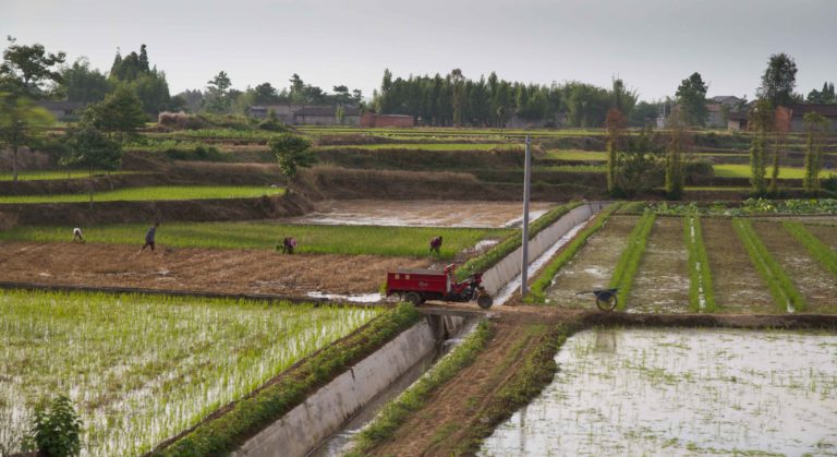 TomBedford.20160523.0013-1