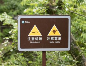 TomBedford.20160523.4198-1