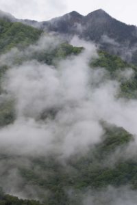 TomBedford.20160523.4214-1