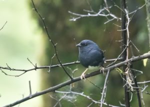 TomBedford.20160523.4227-1