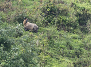 TomBedford.20160523.4236-1