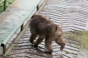 TomBedford.20160523.4240-1