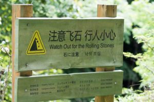 TomBedford.20160523.4242-1