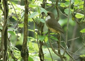 TomBedford.20160523.4253-1