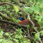 TomBedford.20160523.4271-1