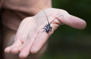 TomBedford.20160524.4485-1