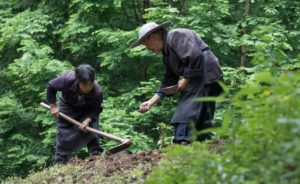 TomBedford.20160524.4525-1