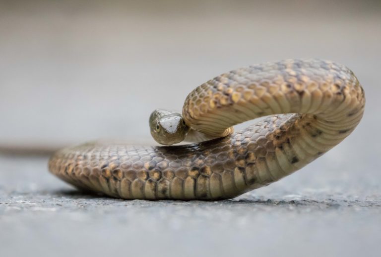 TomBedford.20160524.4633