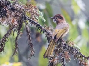 tombedford-20160525-4723-1-2