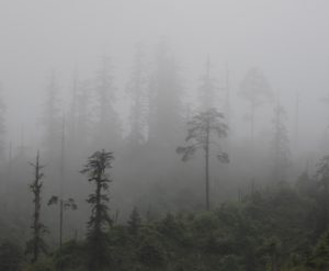 TomBedford.20160526.4773-1