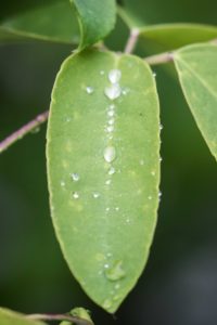 TomBedford.20160526.5005-1