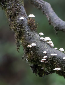 TomBedford.20160526.5007-1