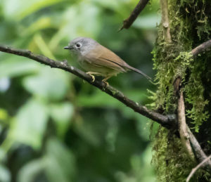 TomBedford.20160527.5239-1