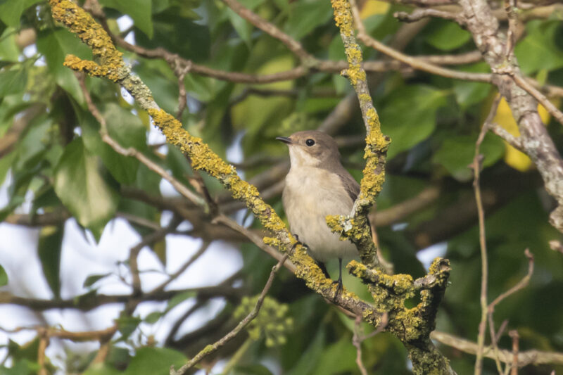 This image has an empty alt attribute; its file name is TomBedford.230908.5555-e1703788953286.jpg